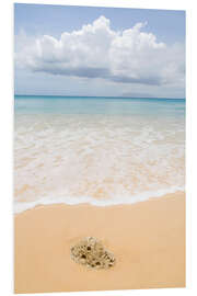 Foam board print Beach in the Seychelles