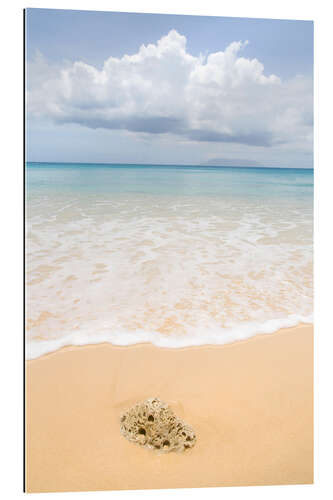 Galleriprint Beach in the Seychelles