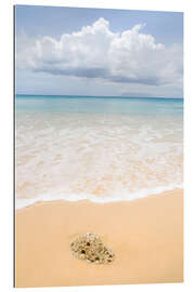 Gallery print Beach in the Seychelles