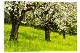 PVC-tavla Orchard in spring