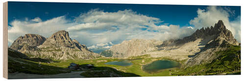 Wood print Dolomites