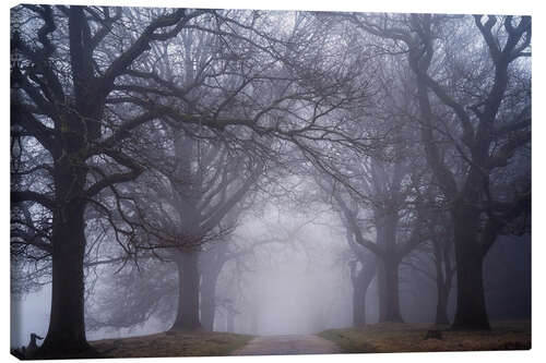 Obraz na płótnie A foggy forest road in the Netherlands