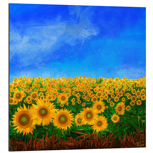 Quadro em alumínio Sunflowers