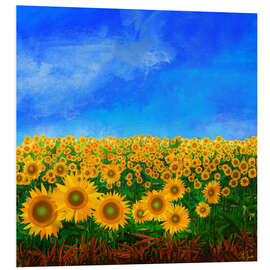 Foam board print Sunflowers