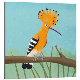 Print på aluminium Hoopoe