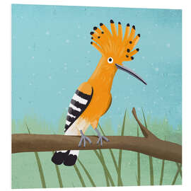 Foam board print Hoopoe