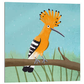 Gallery print Hoopoe