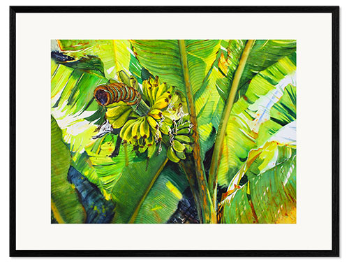 Framed art print Bananas on a branch