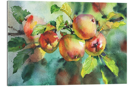 Gallery print Apples on a branch