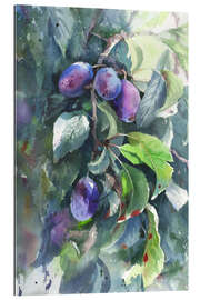 Gallery print Plums on a branch