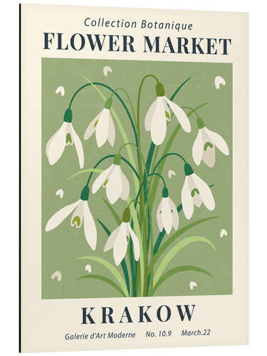 Alubild Flower Market Krakow Snowdrop