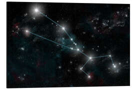 Magnettafel Sternzeichen Stier