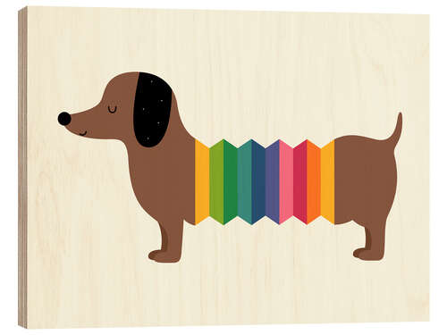 Cuadro de madera Rainbow Doooog