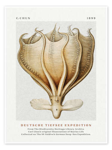 Poster Deutsche Tiefsee Expedition II