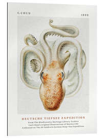 Galleriprint Deutsche Tiefsee Expedition IV