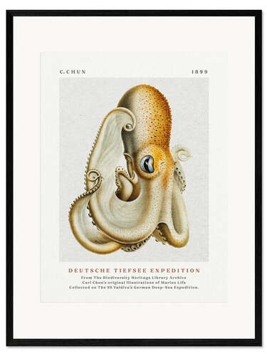 Gerahmter Kunstdruck Deutsche Tiefsee Expedition I