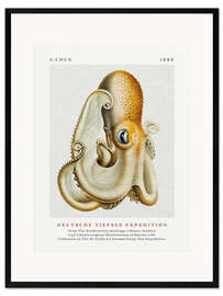 Framed art print Deutsche Tiefsee Expedition I