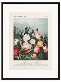 Gerahmter Kunstdruck A Group of Roses