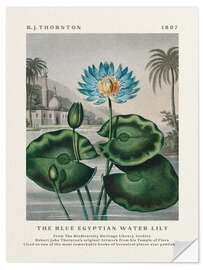 Wall sticker The Blue Egyptian Water Lily