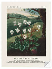 Wandsticker The Persian Cyclamen