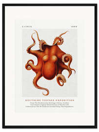 Gerahmter Kunstdruck Deutsche Tiefsee Expedition III