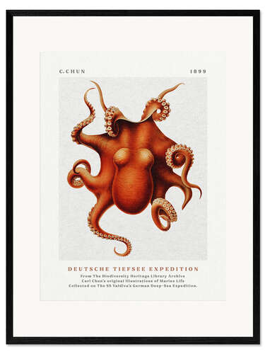 Framed art print Deutsche Tiefsee Expedition III