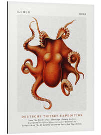 Magnettafel Deutsche Tiefsee Expedition III