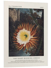 Stampa su PVC The Night Blowing Cereus