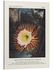 Magnettafel The Night Blowing Cereus