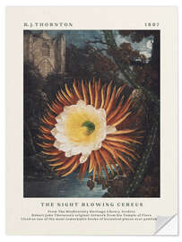 Wall sticker The Night Blowing Cereus