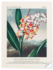 Wandsticker The Nodding Renealmia