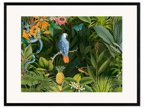 Impression artistique encadrée Tropical midnight jungle, Parrot and snake