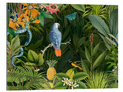 Galleriataulu Tropical midnight jungle, Parrot and snake