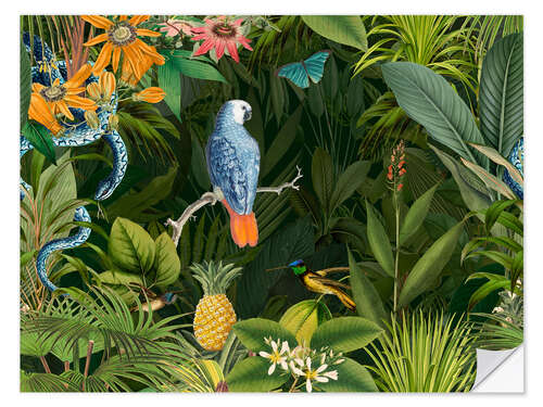 Sticker mural Tropical midnight jungle, Parrot and snake