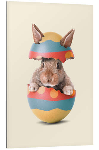 Aluminium print Easter Bunny