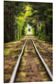 Aluminium print Railway tracks