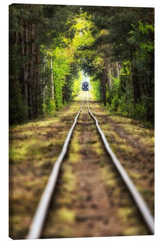 Lerretsbilde Railway tracks