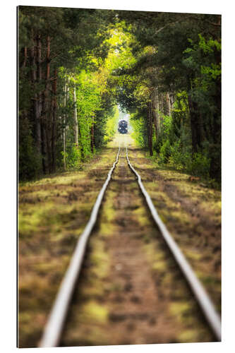 Gallery print Railway tracks