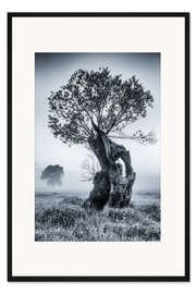 Gerahmter Kunstdruck Weidenbaum