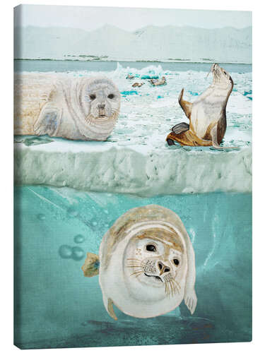 Canvas print Arctic Expedition