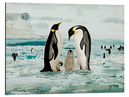 Aluminium print Emperor Penguin Family