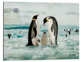 Aluminium print Emperor Penguin Family