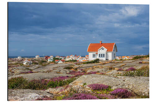 Aluminium print Houses on the island of Käringön in Sweden