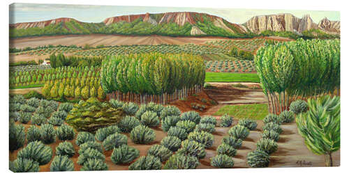 Tableau sur toile Bright morning in Alcudia