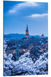 Alubild Berner Altstadt während der Kirschblüte in blauer Stunde