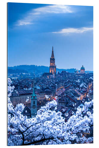 Gallery print The old town of Bern during the cherry blossom season in the blue hour