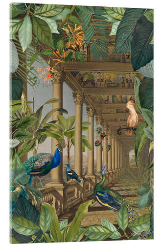 Acrylic print Lost Jungle Place With Peacocks