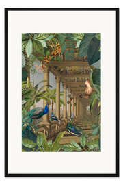 Gerahmter Kunstdruck Verlorener Dschungel mit Pfauen - Andrea Haase