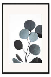 Gerahmter Kunstdruck Getrockneter Eukalyptuszweig