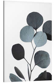 Magnettafel Getrockneter Eukalyptuszweig